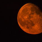 Nikkei endeksi birinci defa 44 bin puanın üzerini test etti