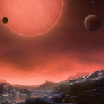 Kırmızı Halı Stilleri: Anya Taylor-Joy