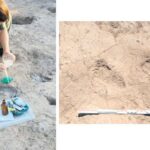 Güneri Cıvaoğlu’nu anıyoruz