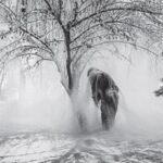 Edebiyatın derin soluğu