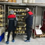 Gemini takviyeli Siri için tarih muhakkak oldu