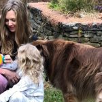 Çocukların toplumsal ve duygusal gelişimi nasıl takip edilmeli?