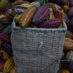 Tesla Model S ve X üretimi sona eriyor