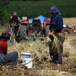 Gemini takviyeli Siri için tarih muhakkak oldu