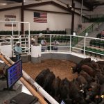 Hazine’nin euro tahviline üç katı aşan talep