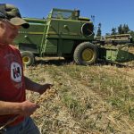 Kırmızı Halı: 2026 BAFTA Ödülleri