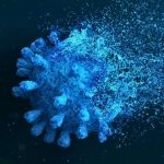 Mevsim tesirinden arındırılmış aylık enflasyon bir yılın doruğunda