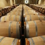 Cilt Kuruluğundan Uyku Kalitesine: Hava Nemlendirici Kullanmanın Etkileri