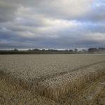 Kızı, doğduğunda yalnızca 750 gram ağırlığındaydı… Aylarca onu kucağına bile alamadı… ‘Kokusu daima burnumdaydı’ dedi, yaşadığı kabusu birinci defa anlattı