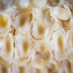 Gündüzden Geceye Dantel Geri Döndü