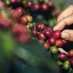 GELİNİM MUTFAKTA 4 ŞUBAT 2026 PUAN DURUMU (TOPLAM) | Kuraya kaldı! Gelinim Mutfakta günün birincisi kim oldu, bugün çeyrek altını kim aldı?