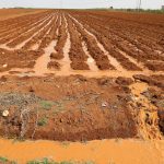 Ramazan pidesinin fiyatı belirli oldu