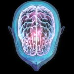 Oxford’dan Van’a kozmos seyahati