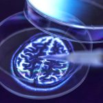 Elektriklenen saça anında çözüm! Bir parçası bile yetiyor