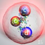 Feminenliğin Yıkıcı Gücü: Self-Portrait Pre-Fall 2026