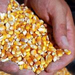 Danone, 1 milyar euroluk satın alma için el sıkıştı