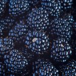 YÖK Başkanı Özvar: Gerçek hayata temas eden eğitim modeli gerekli