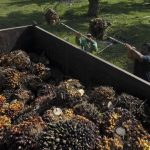 Paris Moda Haftası: Kiko Kostadinov Sonbahar/Kış 2026