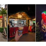 Tabiat, sessizlik, kahkaha ve karın bembeyaz cazibesi