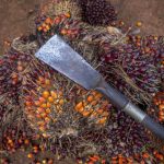 Almanya’da yatırımcı beklentileri 2022’den bu yana en düşük düzeyde