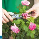 IMF ve Dünya Bankası toplantılarına savaş damga vurdu